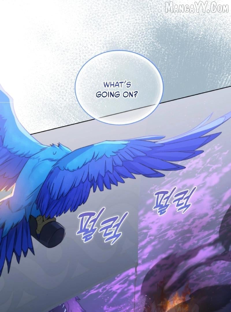 Read Seabird and the Wolf Manga Online