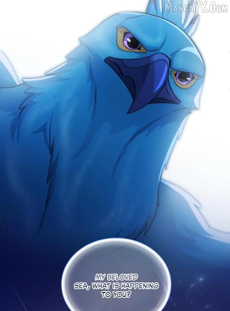 Read Seabird and the Wolf Manga Online