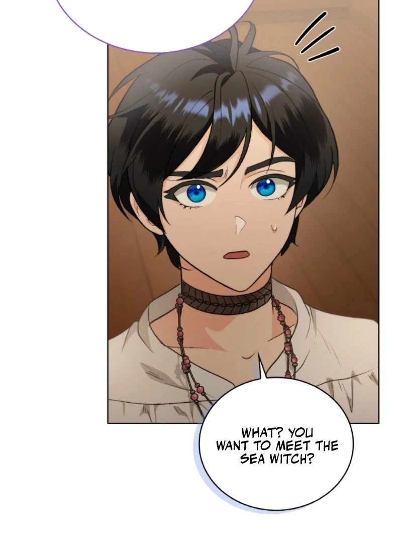 Read Seabird and the Wolf Manga Online