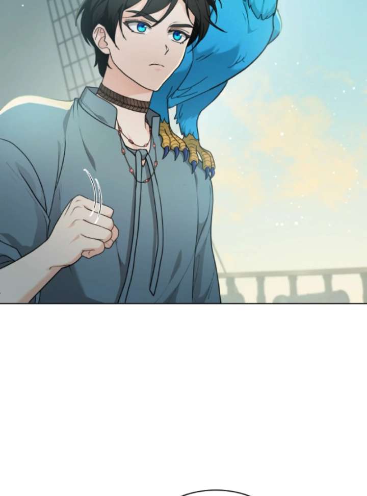 Read Seabird and the Wolf Manga Online