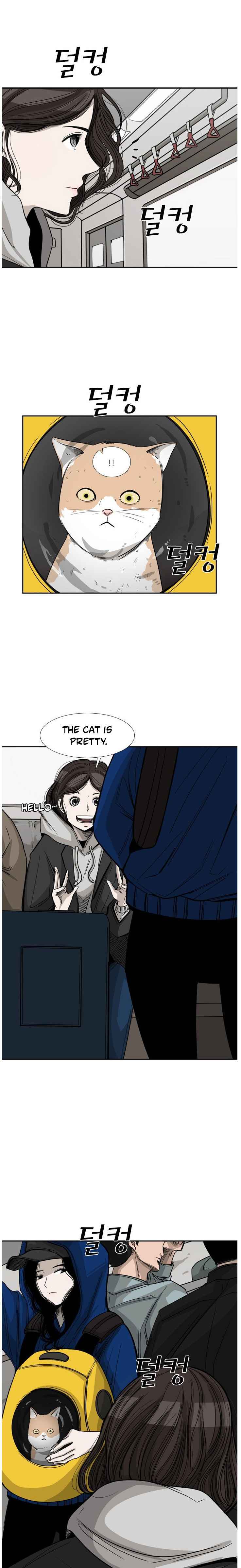 Read Shark Manga Online