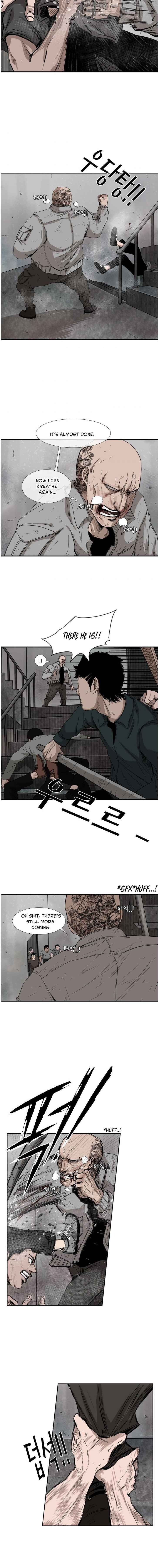 Read Shark Manga Online