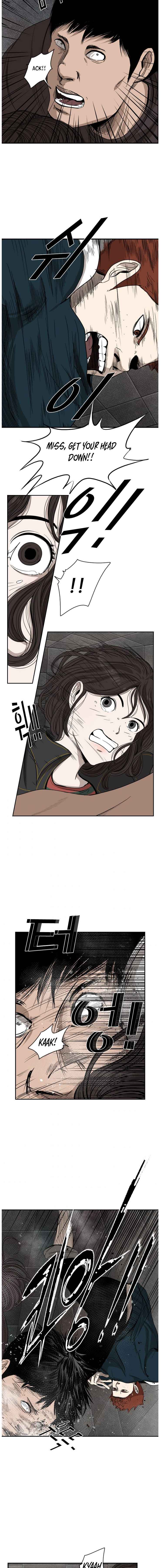 Read Shark Manga Online