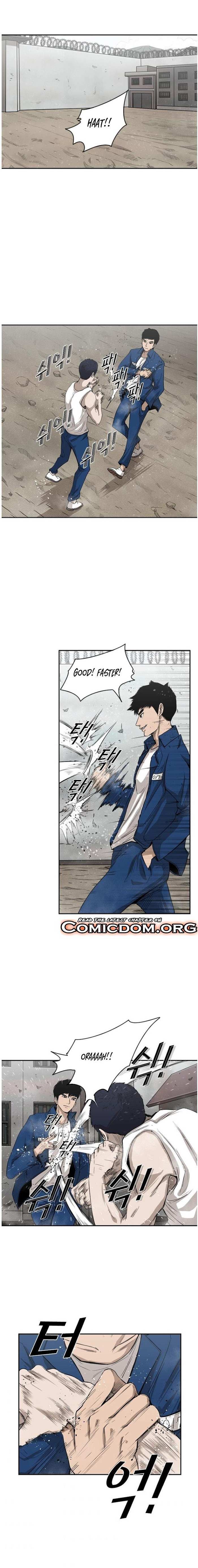 Read Shark Manga Online