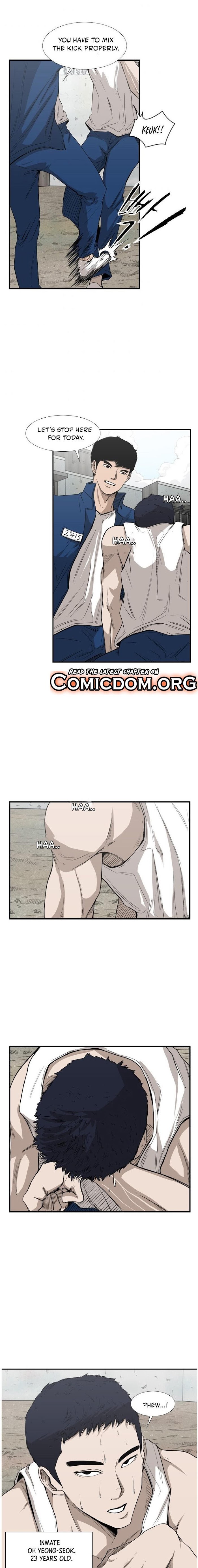 Read Shark Manga Online