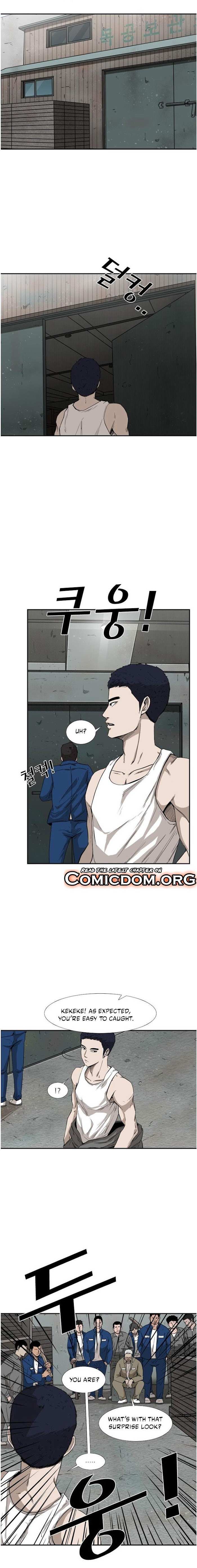 Read Shark Manga Online