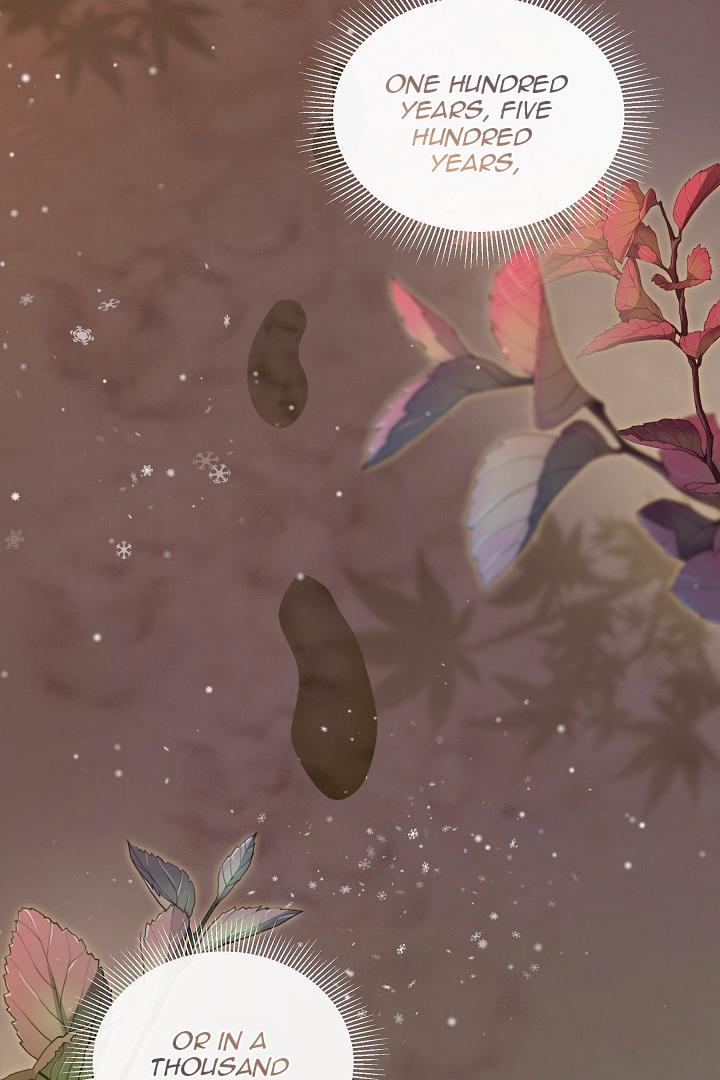 Read Silver Tree Manga Online