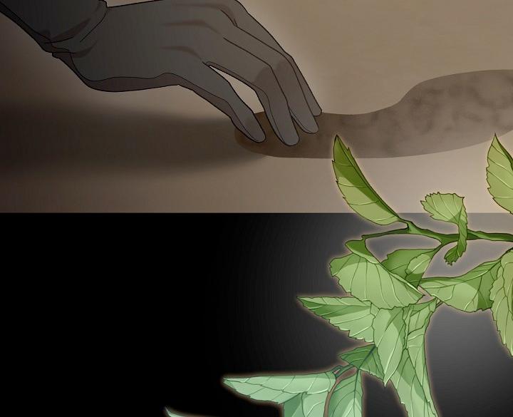 Read Silver Tree Manga Online