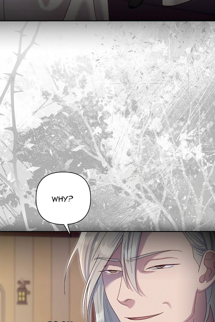 Read Silver Tree Manga Online