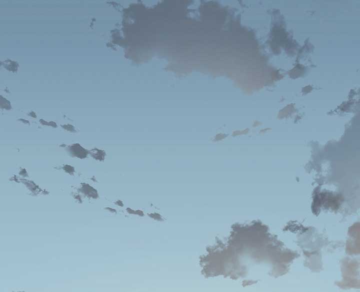 Read Silver Tree Manga Online