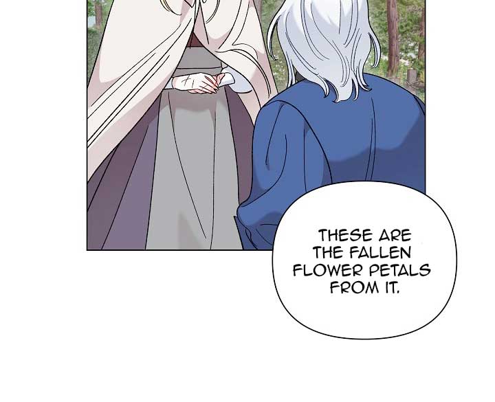 Read Silver Tree Manga Online