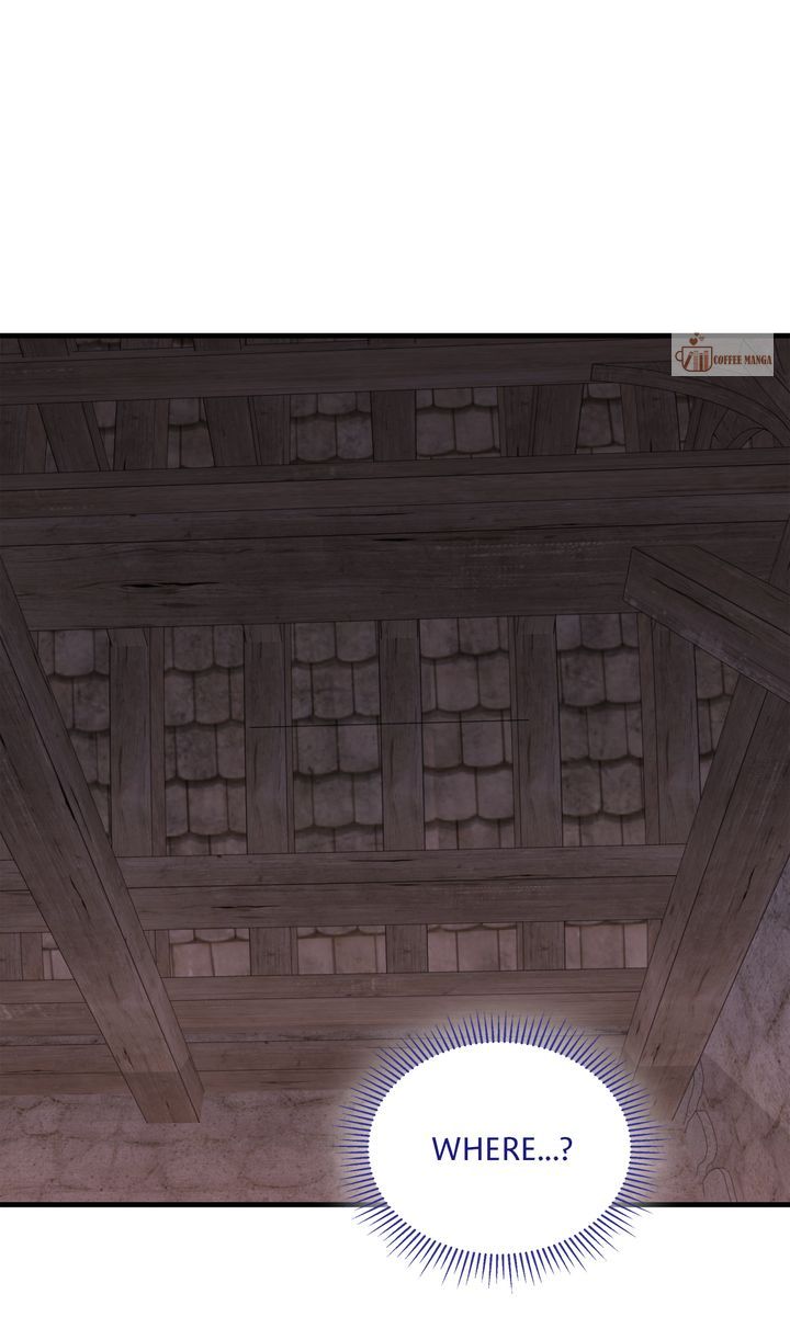 Read Silver Tree Manga Online