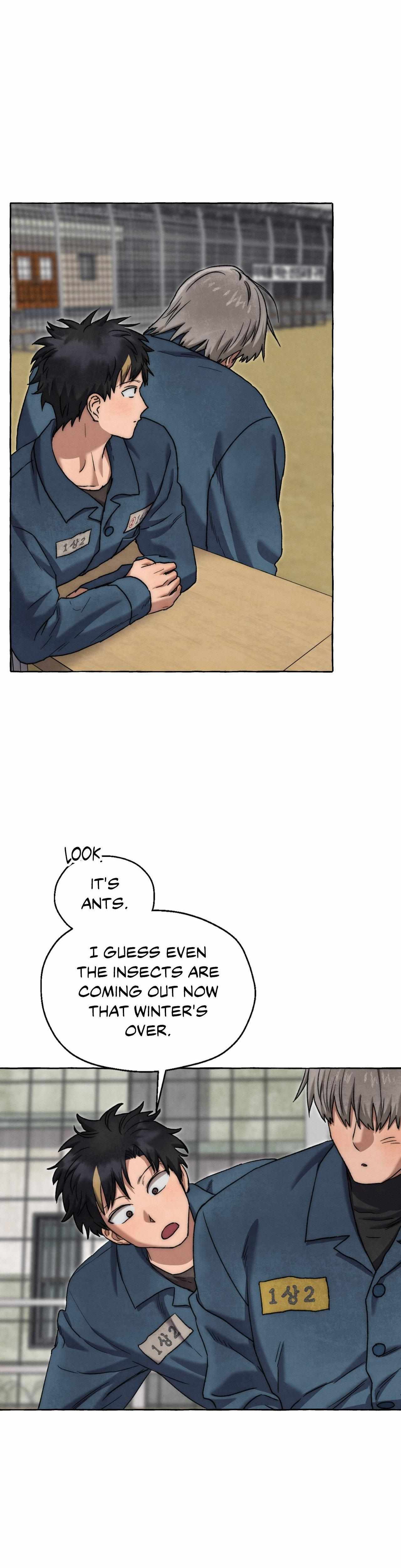 Read Slammer Dogs Manga Online