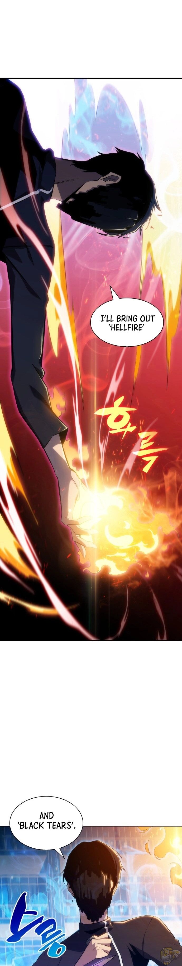 Read Solo Max-Level Newbie Manga Online