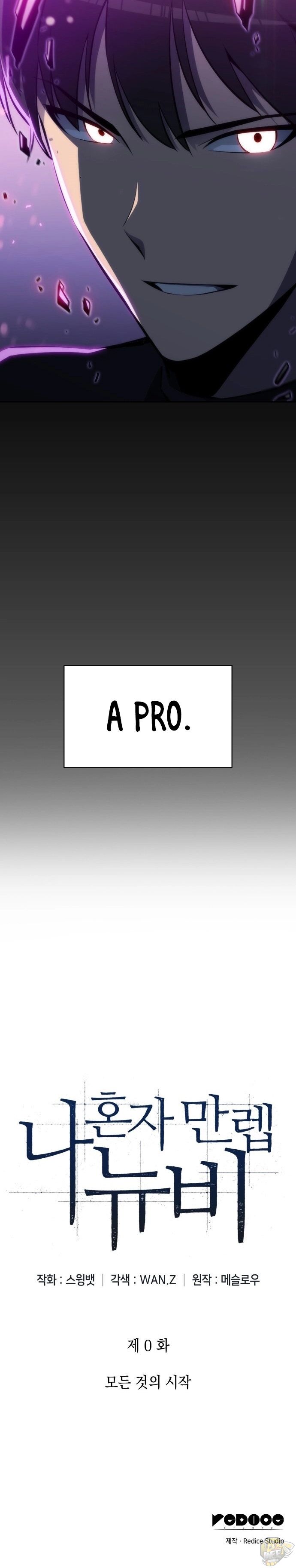 Read Solo Max-Level Newbie Manga Online