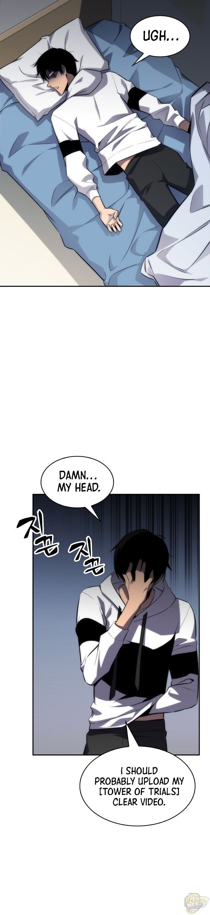 Read Solo Max-Level Newbie Manga Online