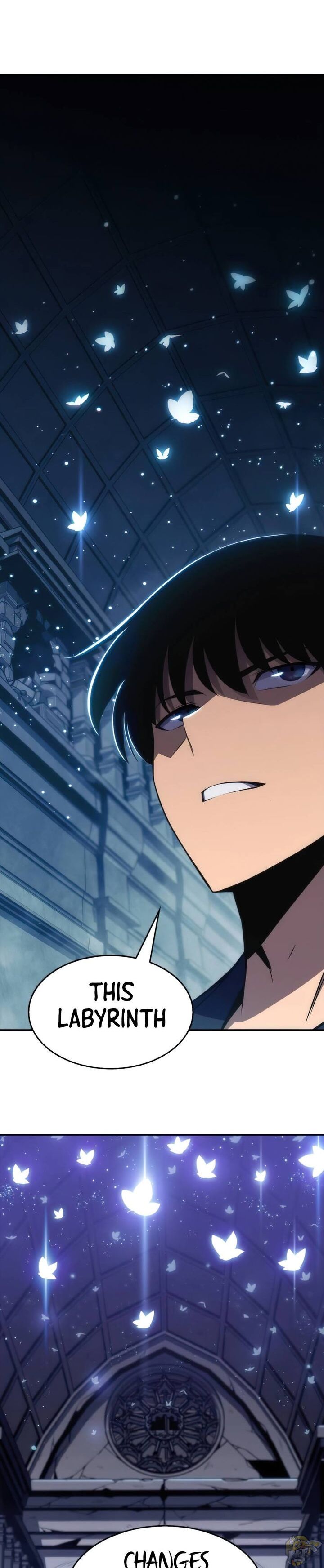 Read Solo Max-Level Newbie Manga Online