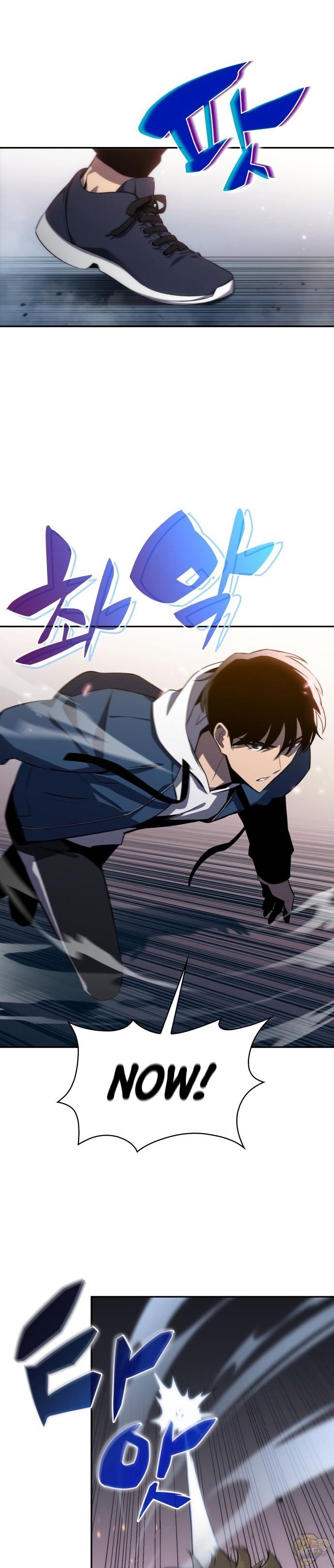 Read Solo Max-Level Newbie Manga Online