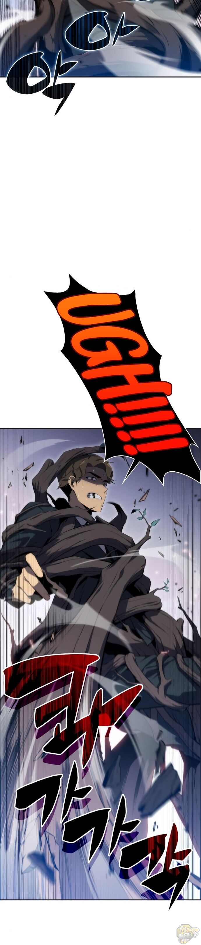 Read Solo Max-Level Newbie Manga Online