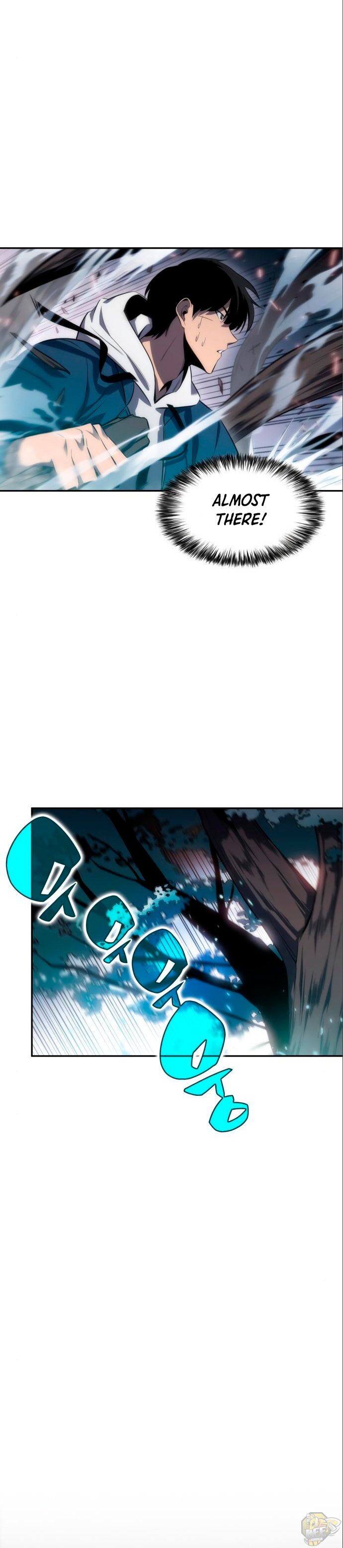 Read Solo Max-Level Newbie Manga Online