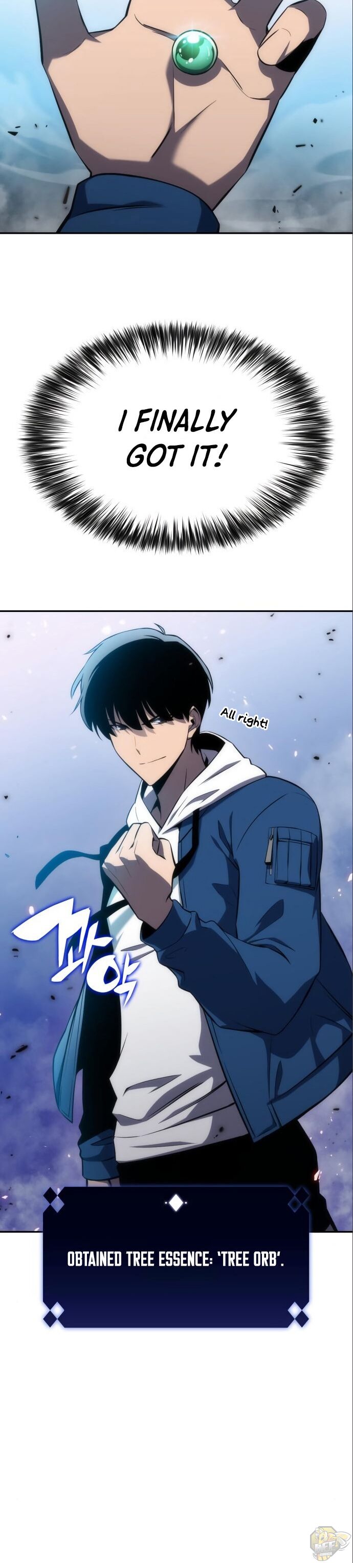 Read Solo Max-Level Newbie Manga Online