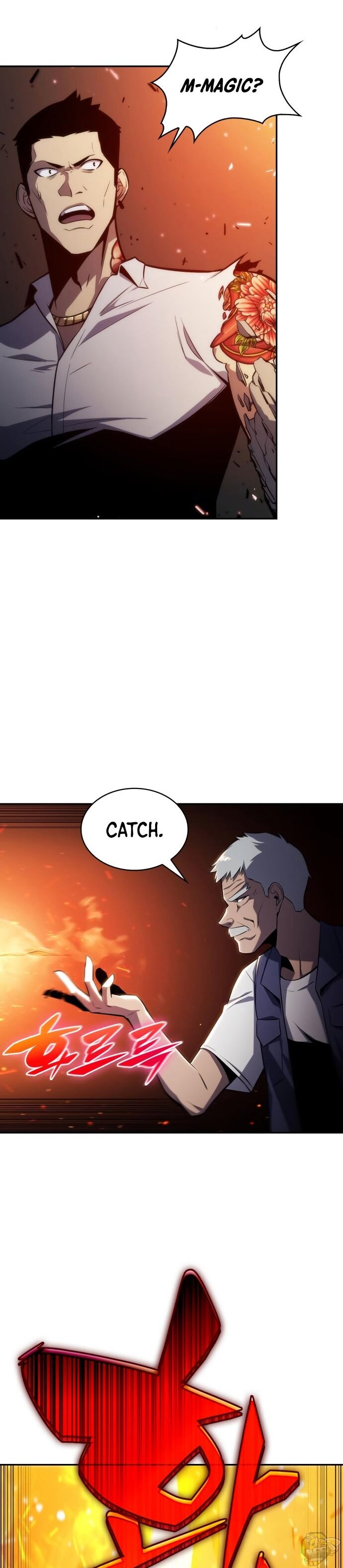 Read Solo Max-Level Newbie Manga Online