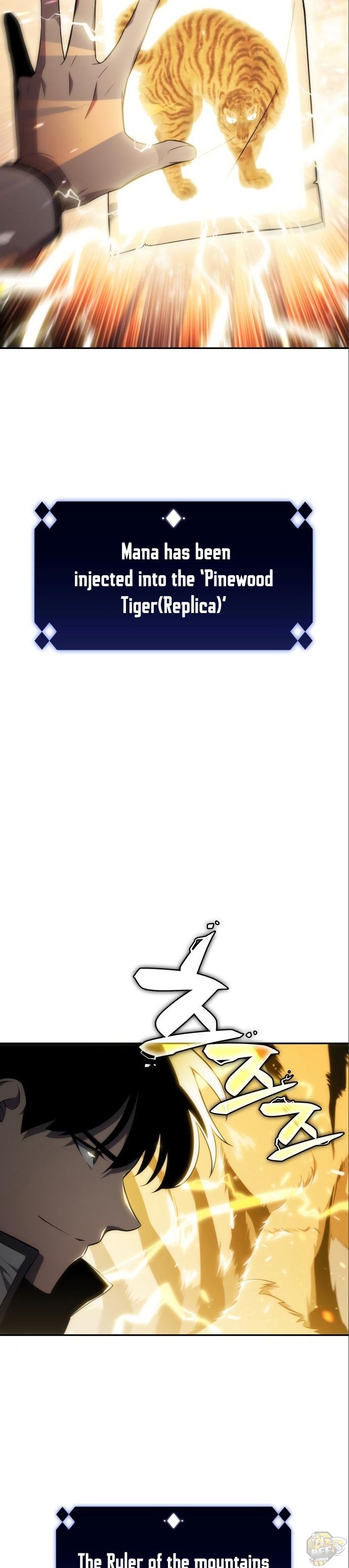 Read Solo Max-Level Newbie Manga Online