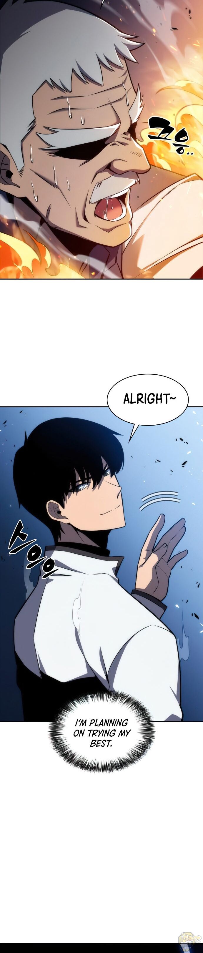 Read Solo Max-Level Newbie Manga Online