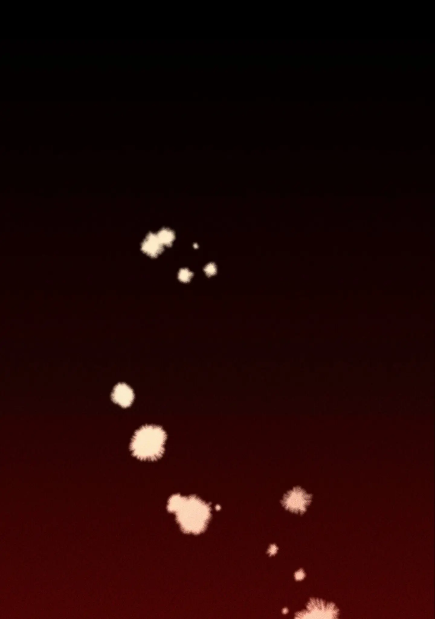 Read The 11th School Trip Manga Online