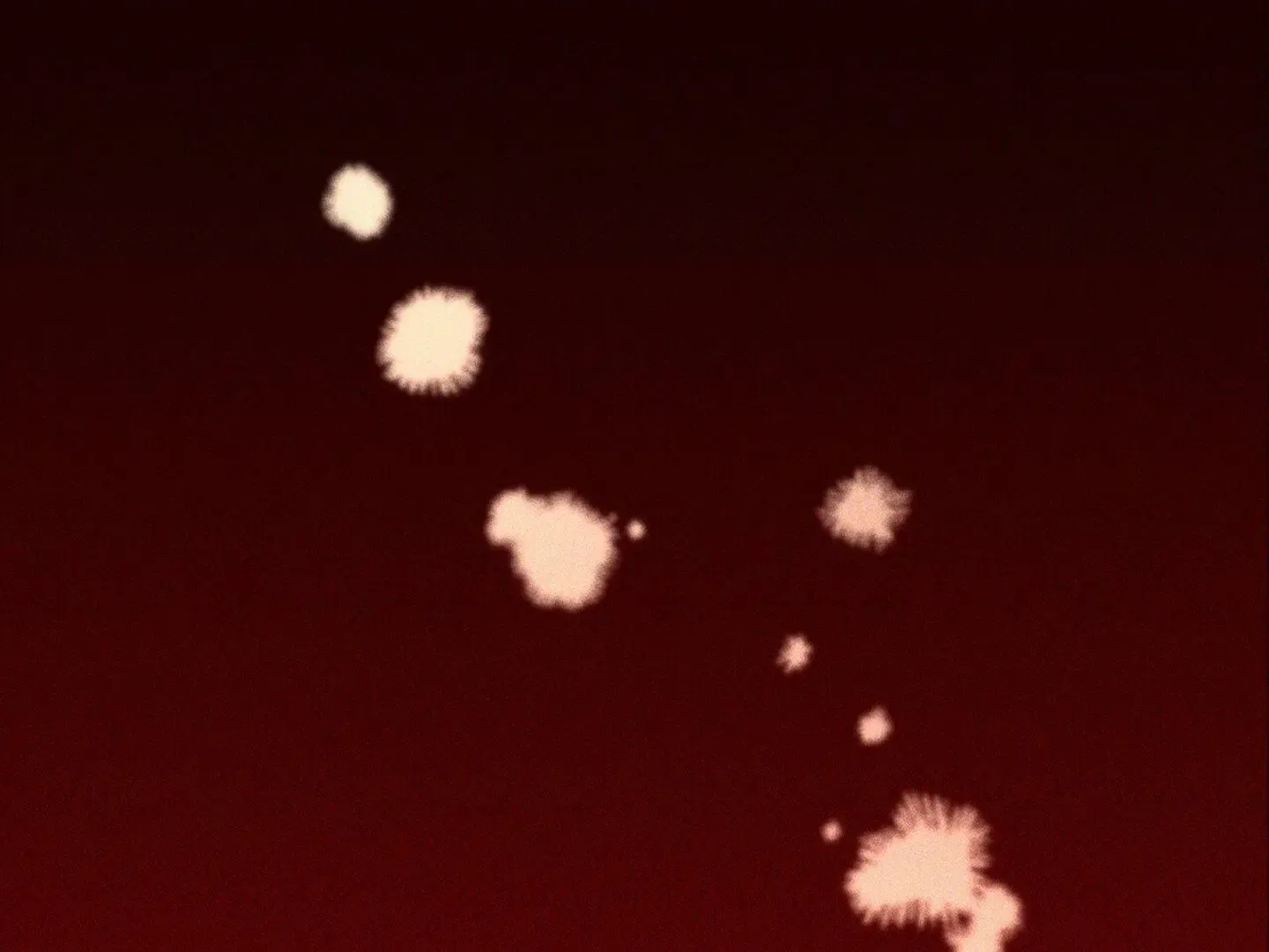 Read The 11th School Trip Manga Online