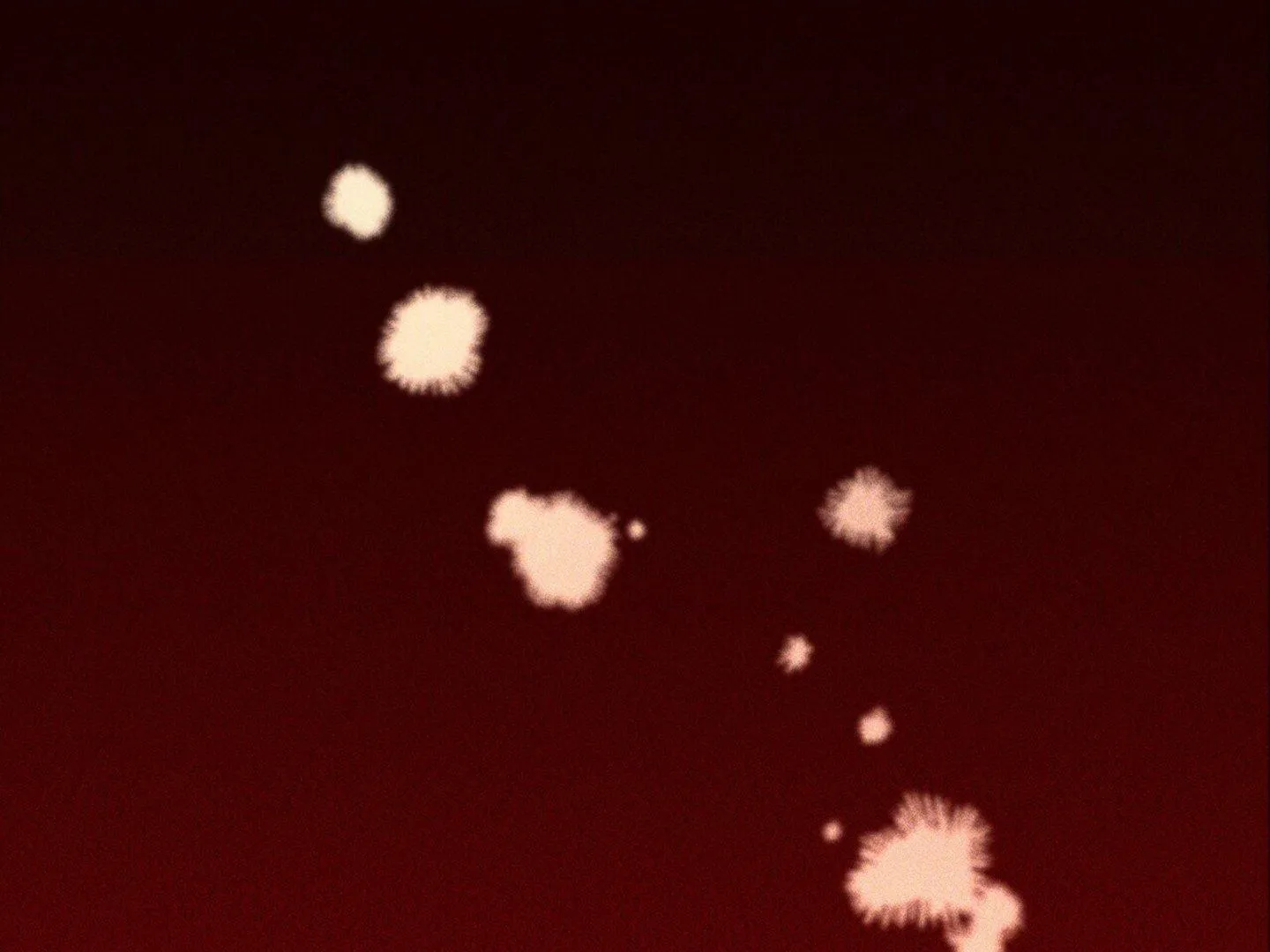 Read The 11th School Trip Manga Online