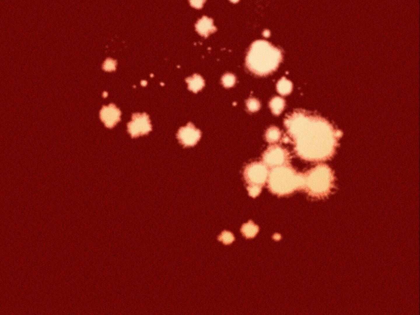 Read The 11th School Trip Manga Online