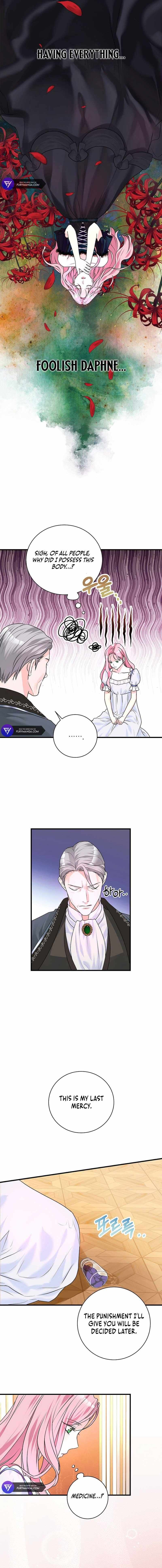 Read The Archduke's Magical Business Partner Manga Online