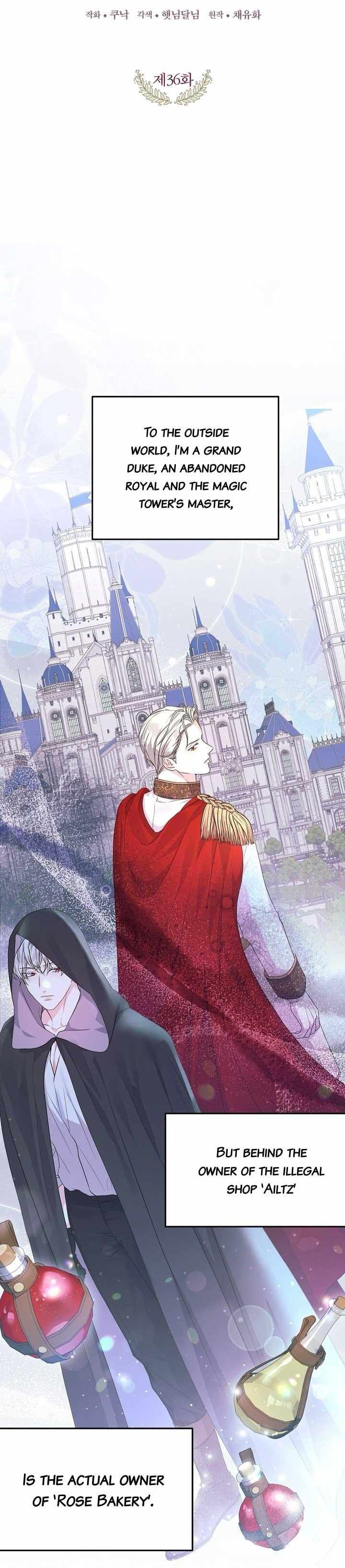 Read The Archduke's Magical Business Partner Manga Online