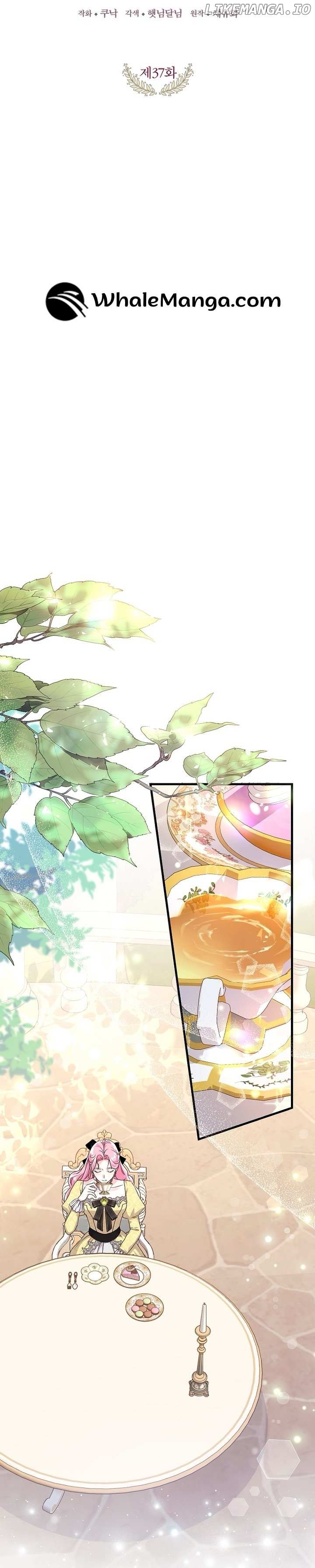 Read The Archduke's Magical Business Partner Manga Online