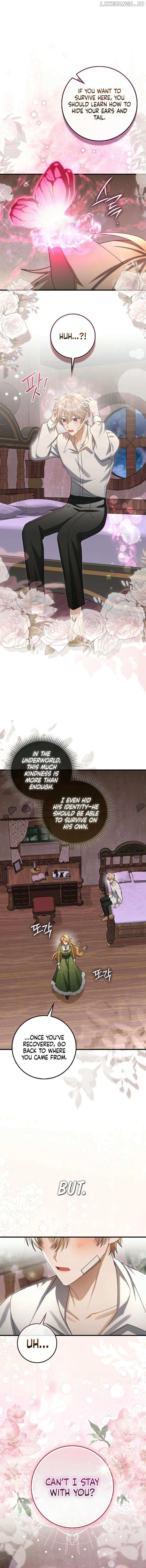 Read The Baby Fairy is a Villain Manga Online