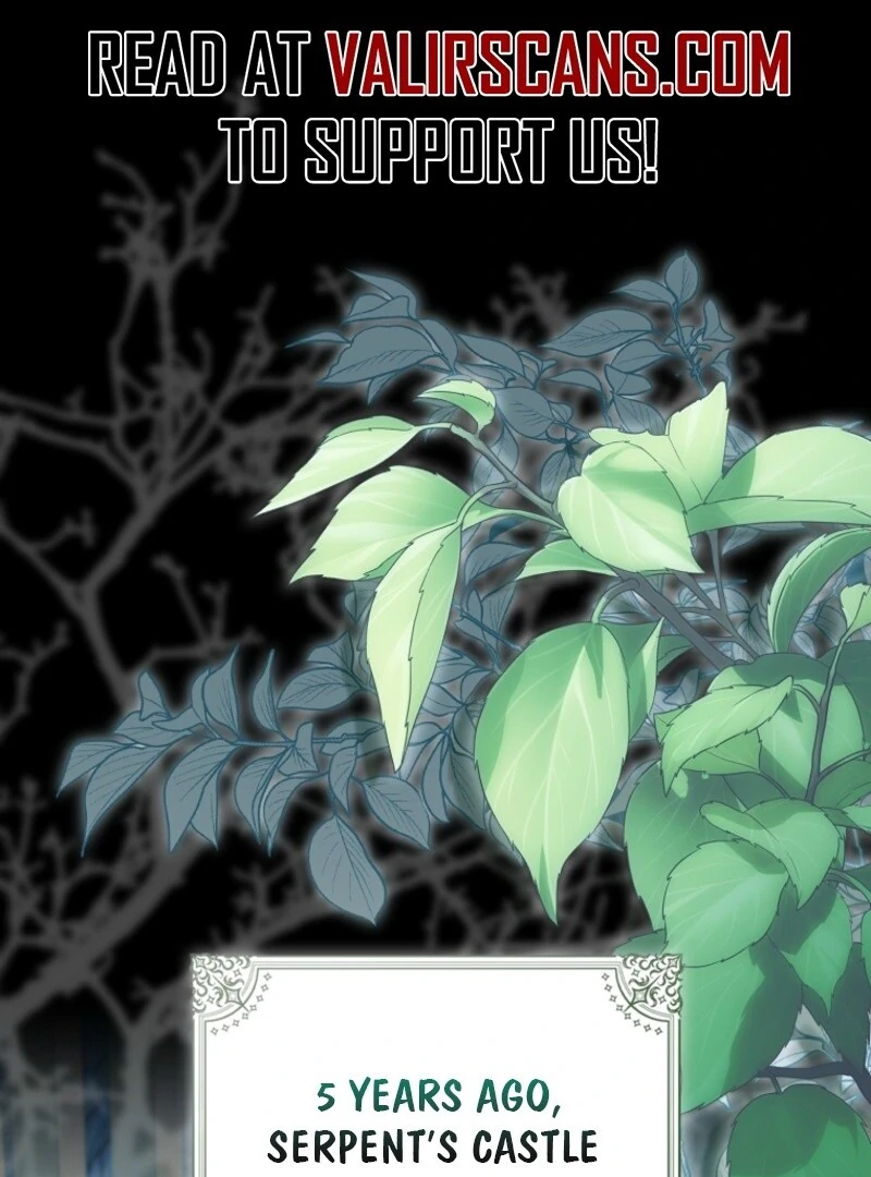 Read The Baby Fairy is a Villain Manga Online