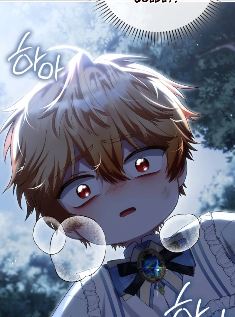 Read The Baby Fairy is a Villain Manga Online