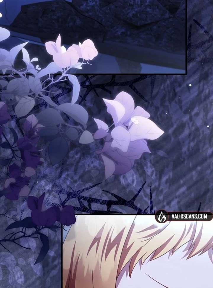 Read The Baby Fairy is a Villain Manga Online