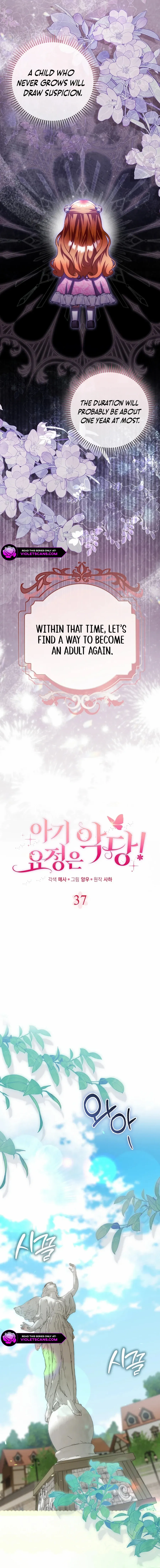 Read The Baby Fairy is a Villain Manga Online