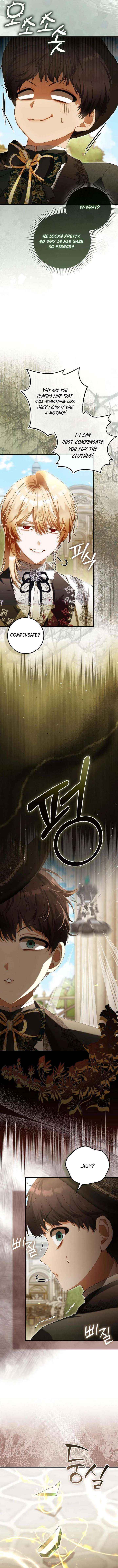 Read The Baby Fairy is a Villain Manga Online