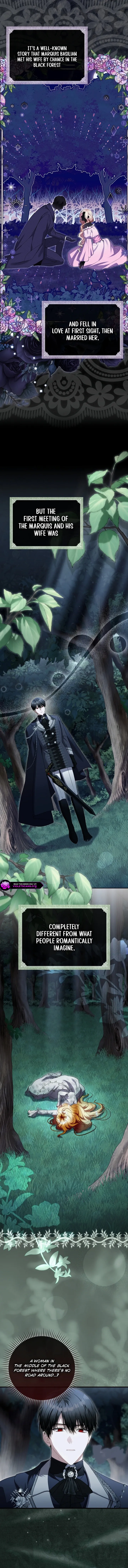 Read The Baby Fairy is a Villain Manga Online