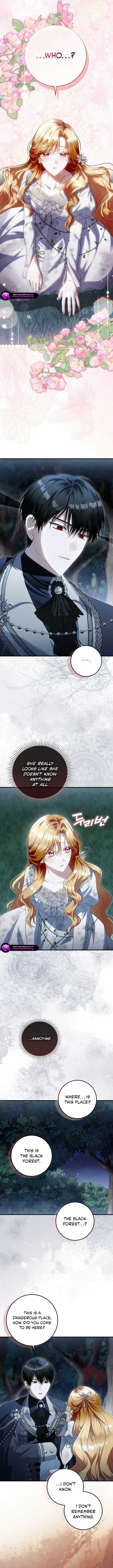 Read The Baby Fairy is a Villain Manga Online