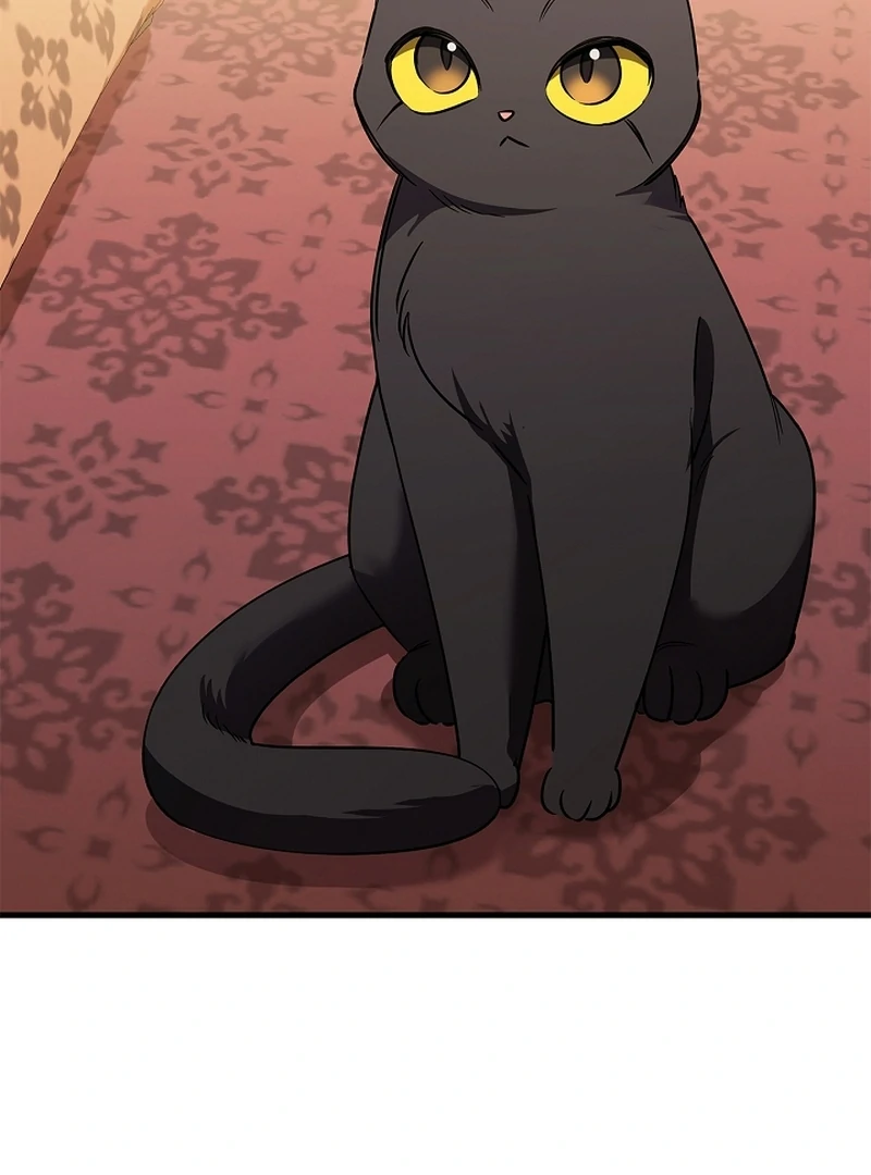 Read The Back-Alley Mage’s Return Manga Online