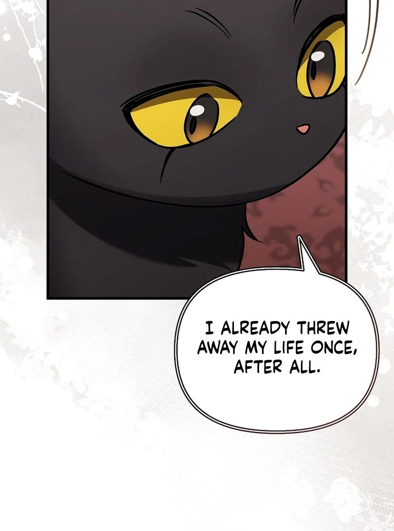 Read The Back-Alley Mage’s Return Manga Online