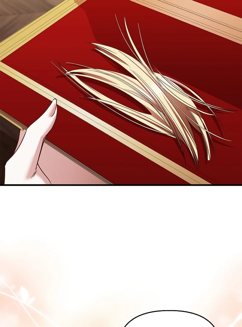 Read The Back-Alley Mage’s Return Manga Online