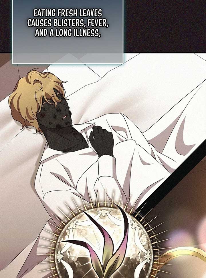 Read The Back-Alley Mage’s Return Manga Online