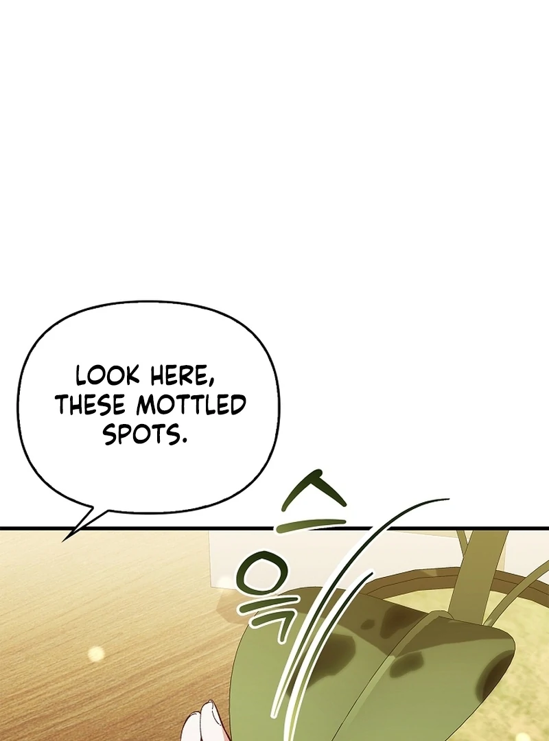 Read The Back-Alley Mage’s Return Manga Online