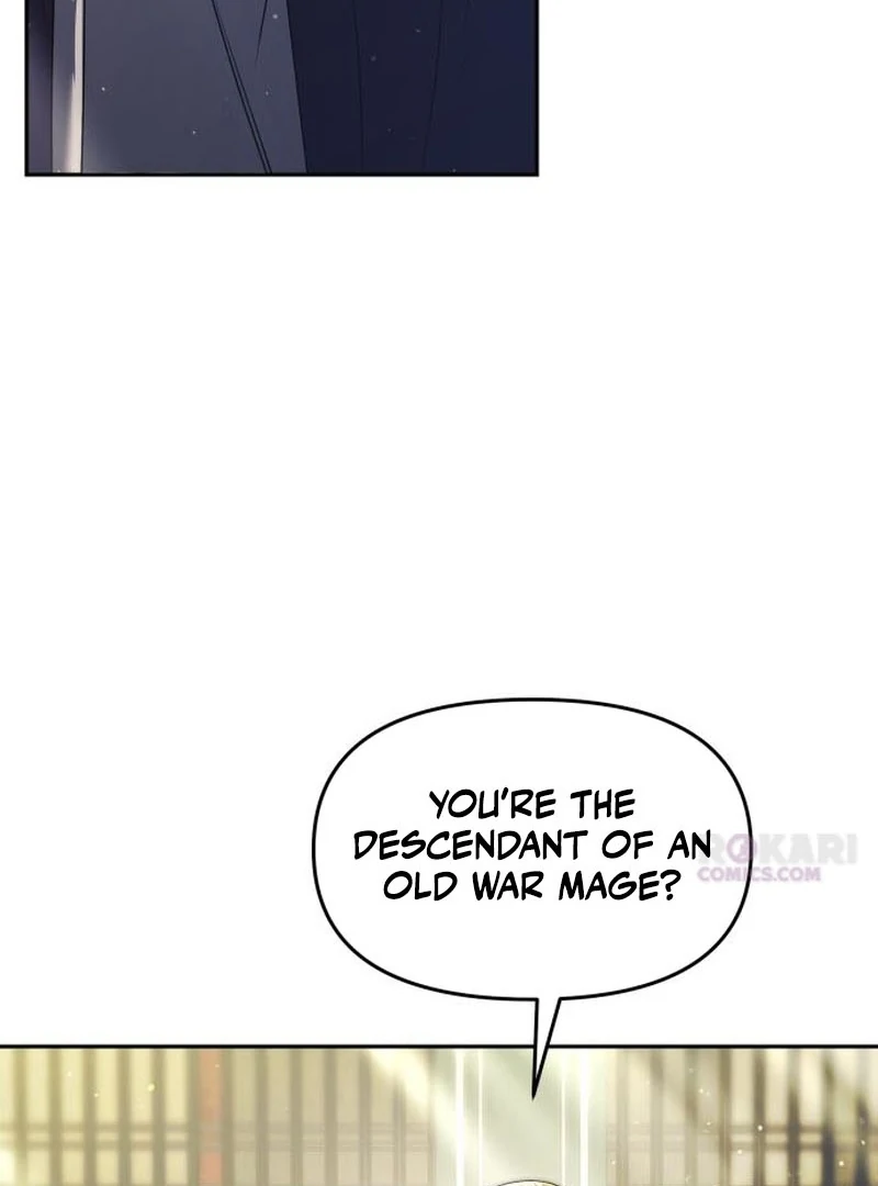 Read The Back-Alley Mage’s Return Manga Online