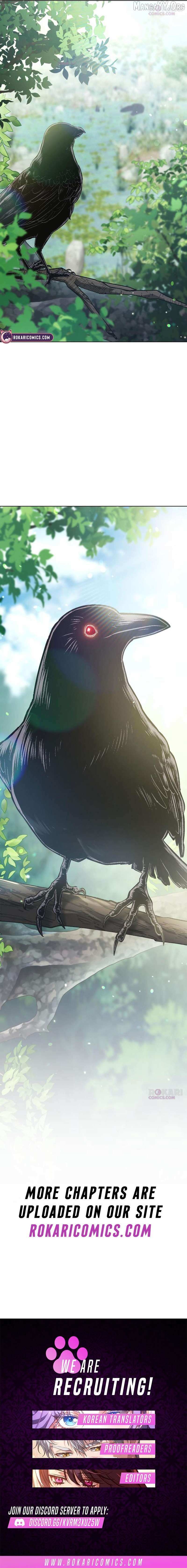 Read The Back-Alley Mage’s Return Manga Online